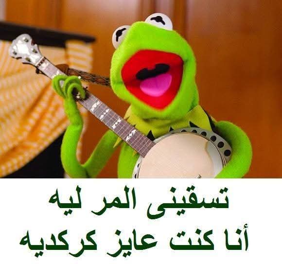 Dina Mohamed tweet media