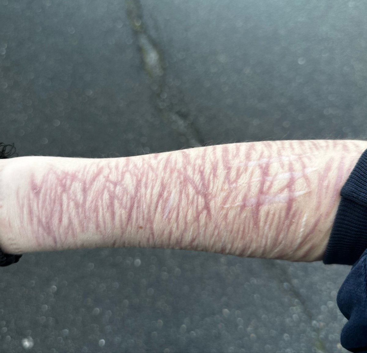 🐾ྀི𝑴𝒆𝒍 ˖ ݁♬⋆.˚Shedtwt ⨾ tweet media