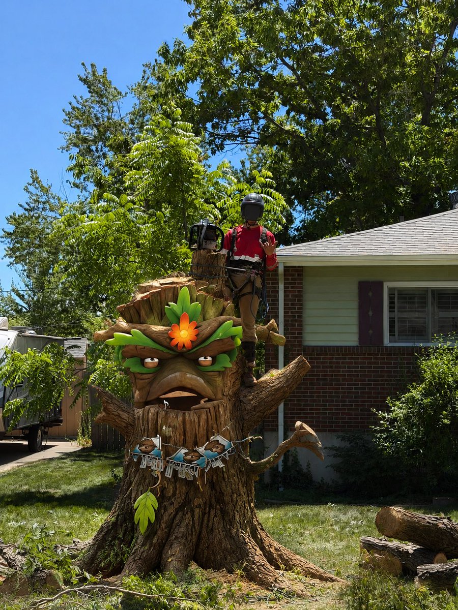 _ag3o's tweet photo. Plants vs. Arborists https://t.co/mqvm1XtIbA