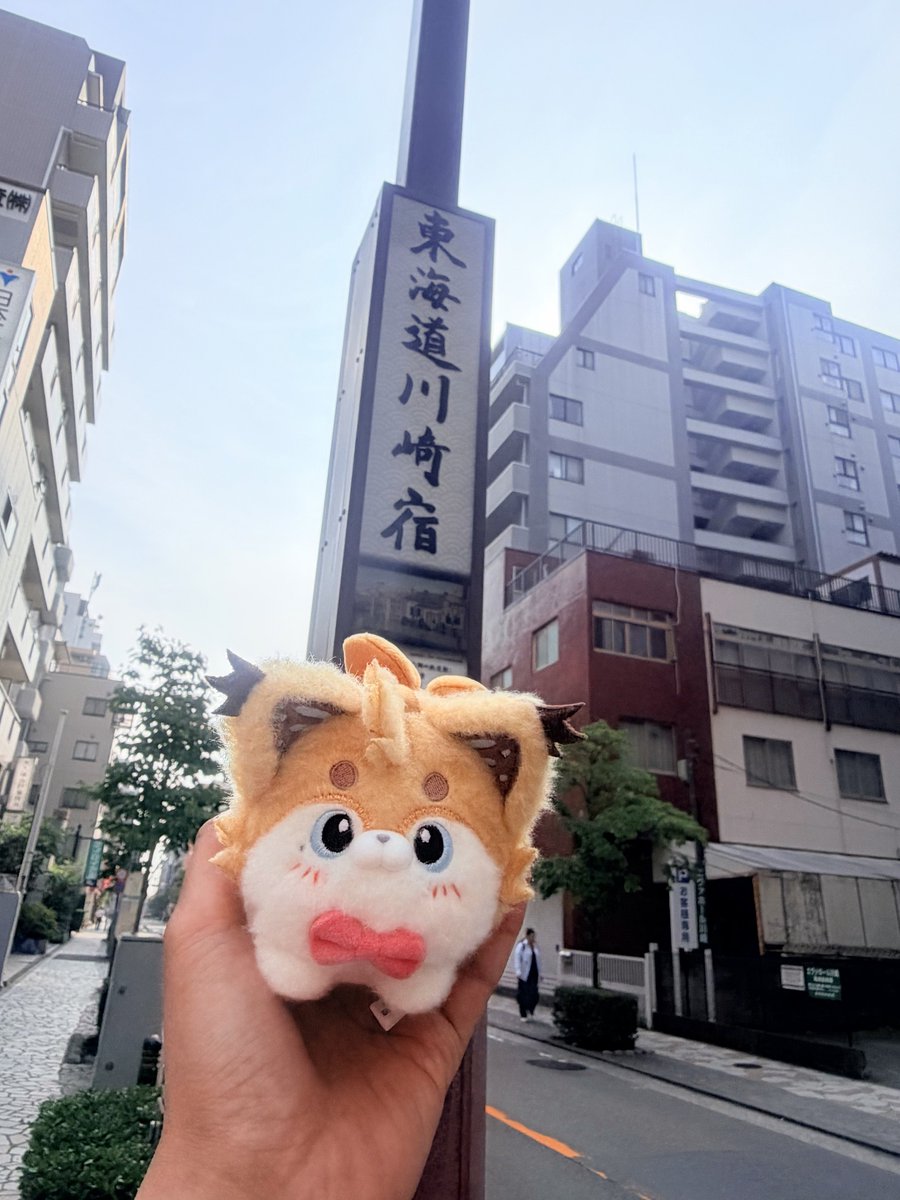 fuchsdoll's tweet photo. 朝んぽ中だよ 猫丸 https://t.co/GAahSDhD6J