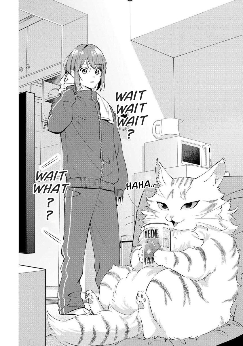 KushiKuritikaru's tweet photo. First chapter of “Hirotta no ga Hontoni Neko ka wa Utagawashi” has been translated/scanned 

On her way home after being dumped by her boyfriend of seven years, Kaoru Honda picks up a black lump that appears to be a cat. However, its true identity turns out to be a strange creature that speaks human language, enjoys drinking alcohol, and insists he is a cat. Kaoru names him "Modoki" and decides they will live together. As they share a home, her worn-out daily life gradually begins to change.