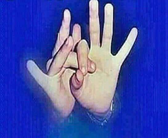 OkraDidi's tweet photo. @bashaer165 @ahmdshtran1 https://t.co/O71Hchkuhy