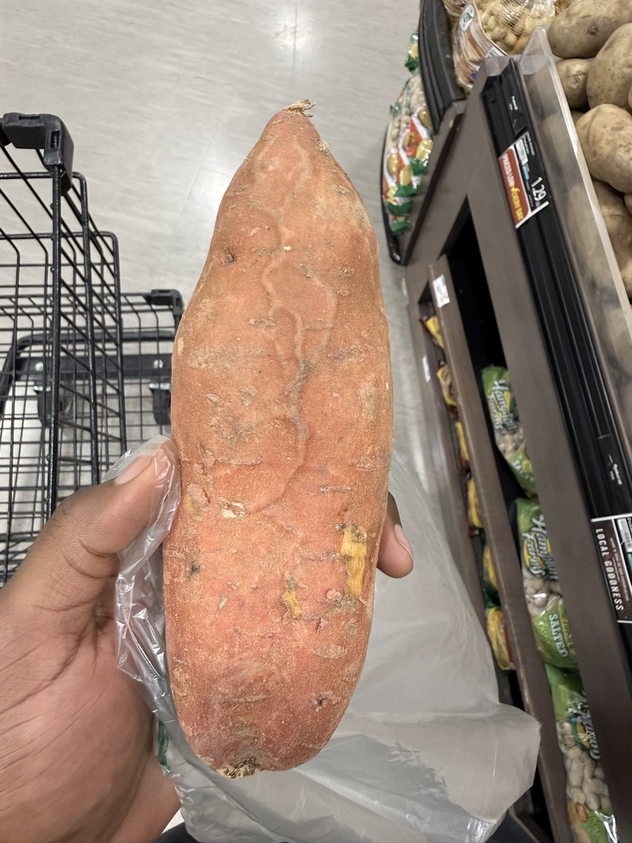 conbiniko's tweet photo. old lady saw me taking a pic of this veiny dick sweet potato and laughed with me lmao https://t.co/tgtQ1eIND9