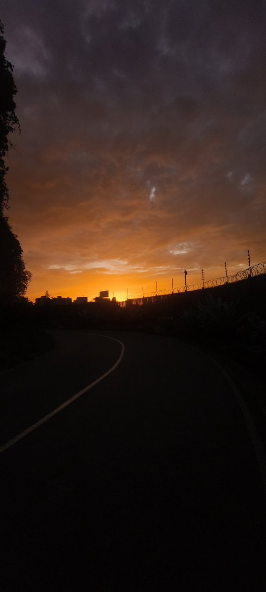 planwac's tweet photo. Caminando, se aprende en la vida
Caminando, se sabe lo que es
Caminando, se cura la herida
Caminando, que deja el ayer..

🎵🎶 Rubén Blades... #Viernes https://t.co/1sFX9Kv5Wg