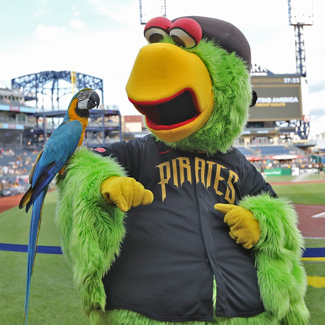 A real parrot perches on the arm of the Pirate Parrot at PNC Park. He wears a Pirates City Connect jersey with gold lettering.