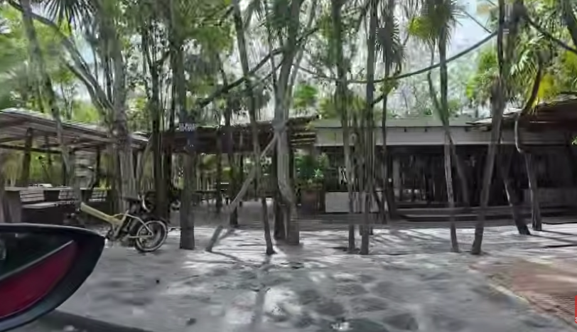 ernestoescobosa's tweet photo. En #Tulúm ya ni siquiera quitan el sargazo, decenas de hoteles, bares y locales abandonados, ya bajaron los precios a la tercera parte y aún así la zona hotelera parece pueblo fantasma.
Un ejemplo de cómo la gente le cobra los abusos y atracos a un destino turístico. #México https://t.co/cMc0bSuuHm
