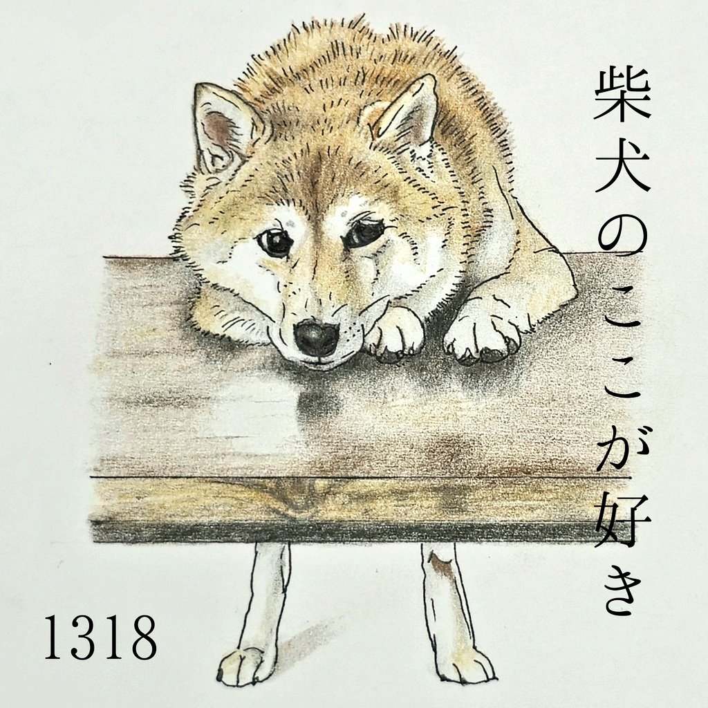 kokoshibamariko's tweet photo. 「あ、かわいい。」なポーズに、笑いの要素を取り入れてくるとこ。

「脚は細いねってよく言われます。」
上半身と下半身のギャップ最高。

#柴犬のここが好き #ここ柴 #柴犬 #イラスト #色鉛筆 #色鉛筆イラスト #shibainu #黒柴 #시바견 #favoritepartsofshibainu #kokoshiba https://t.co/xnrRXsjFPA
