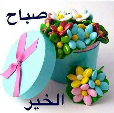 assassm007's tweet photo. السلام عليكم ورحمة الله وبركاته 
أحبتي اسعد الله أوقاتكم بكل خير 
الله يسعد صباحكم مع مساكم https://t.co/uiEReo0Jhf