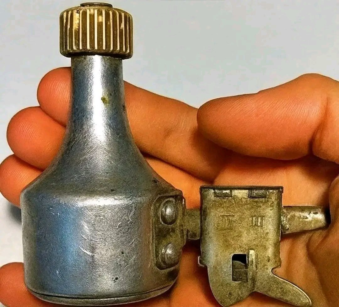 WorkElizab's tweet photo. My son found this in our garden… and now we're wondering what this strange thing is. Do you recognize what's in the photo? https://t.co/0syJBouGC0