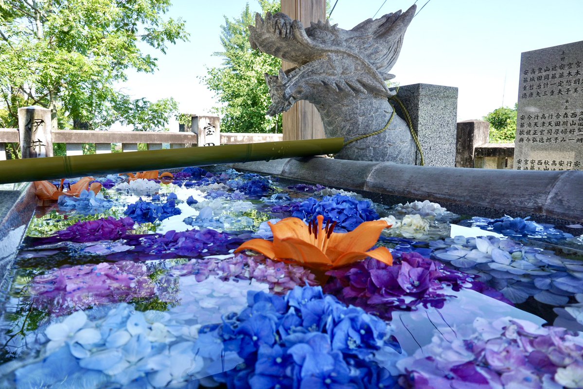 KTPro2015's tweet photo. 🌸あじさい祭り開催のお知らせ🌸
粟井神社にて、6/13(土)・6/14(日)の2日間限定で「あじさい祭り」を開催します🍃
期間限定の特別御朱印を授与いたします✨
・見開きバージョン
・片面バージョン(3色)

#粟井神社 #あじさい祭り #限定御朱印 #御朱印巡り https://t.co/DR3rEjfo8S