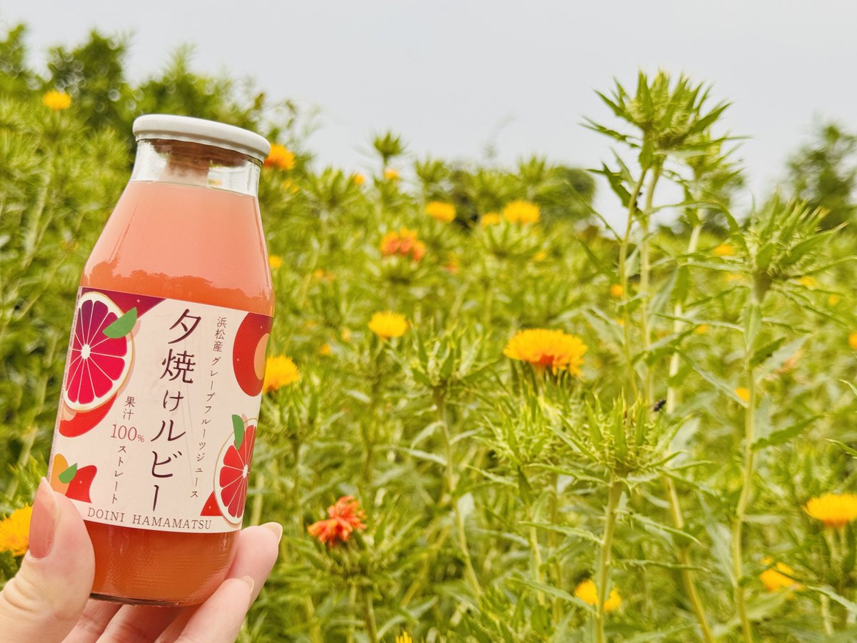 RubyGF_Doini's tweet photo. おはグレです😊#浜松市☁️

今日は #いいみょうがの日

みょうがの爽やかな香りは暑い季節の食卓の名脇役🌿✨

「みょうがを食べると物忘れする」という言い伝えは根拠がないそうです🤭

でも昨日みょうがを買いにスーパーへ行ったのに肝心のみょうがを買い忘れました🙄
食べてないのにw

今日も🙇‍♀️ https://t.co/EfJ8AHVzGi