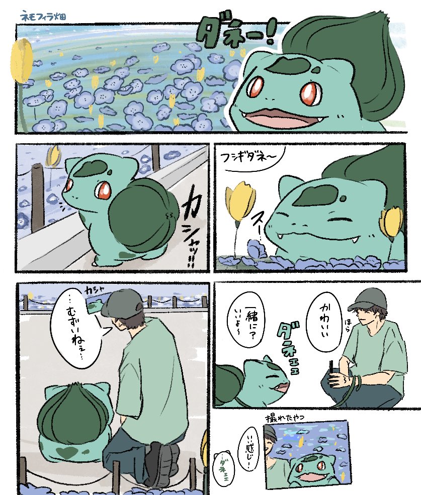 honge_bunta's tweet photo. ネモフィラ畑だね https://t.co/F4DNjtcdp2