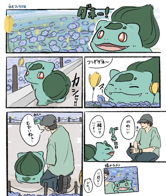 ネモフィラ畑だね 