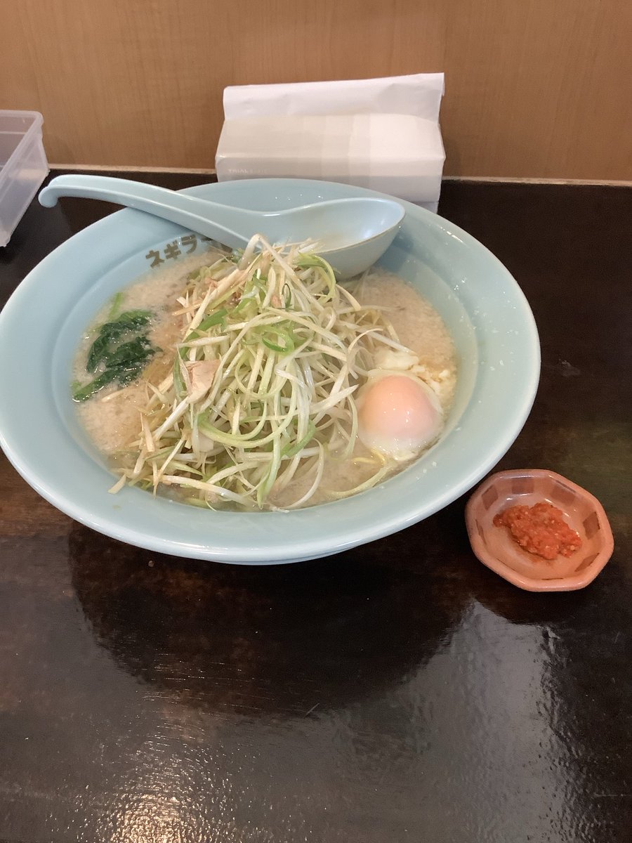 yang2_2's tweet photo. 快晴晴れ渡る土曜日の朝です☀️今日は朝ネギラーメンネギダブルTP温玉ちゃんです

#椿ラーメンショップ川北店
#朝ネギラーメンネギダブルTP温玉ちゃん
#４０杯目
#辛味
#カタメ薄め多め https://t.co/0YKiC3E4Ny