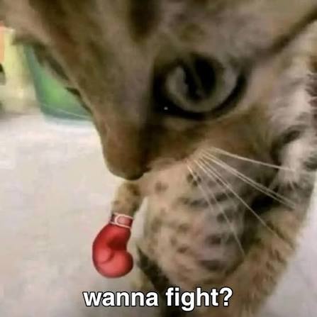 NAN_RO_'s tweet photo. wanna fight?🫪 https://t.co/t7eY3bs1dm