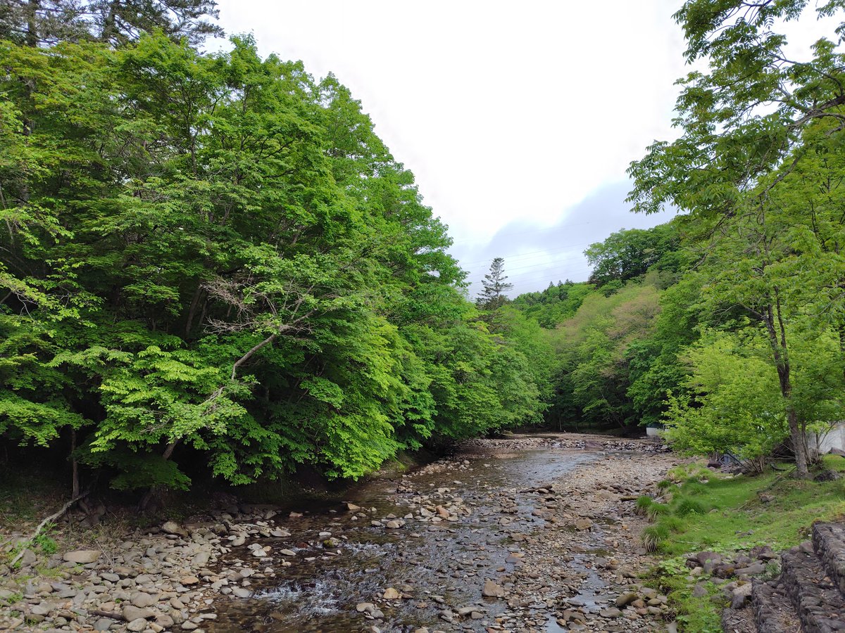 o_hirokee's tweet photo. 森のなかにぽつんと、秘湯、芽登温泉。肌つるつるで最高でした。
宿の前にあるヌカナン川を眺めながらの露天風呂もいいですね。動物たちも出てきます。 https://t.co/iA3FwGLb2H