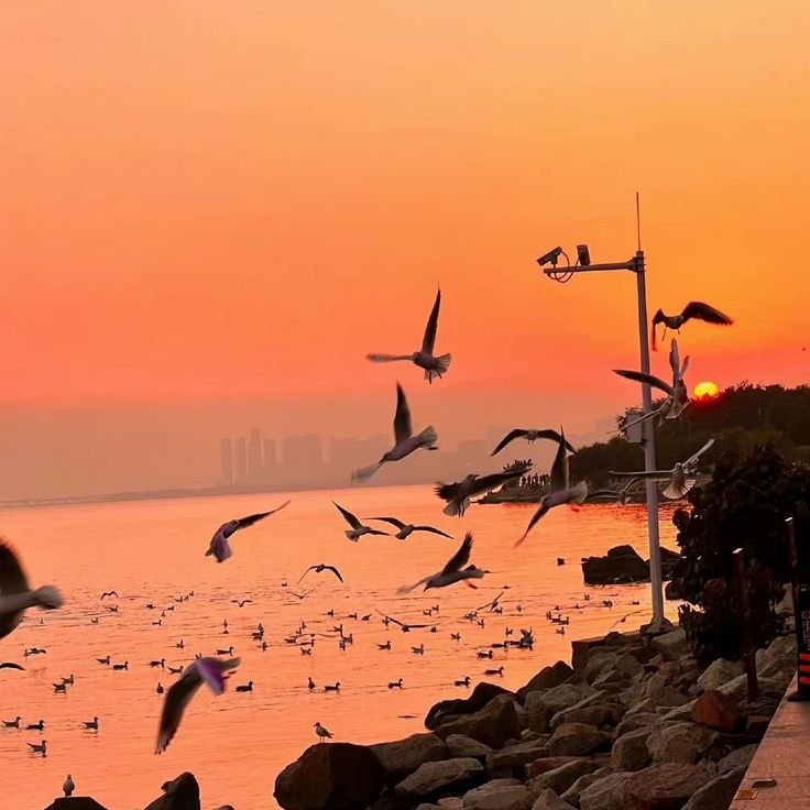HumdardAlfaaz's tweet photo. काबिल बनो, और खरीद लो अपनी
पसंदीदा चीज़, यहां रोने का कोई रिवाज नहीं है.!! https://t.co/INQBkeCw3Z
