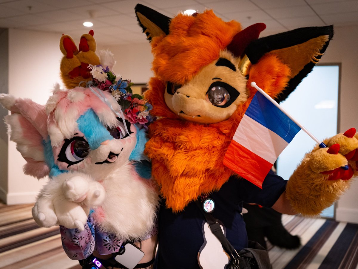 JiggsDergo's tweet photo. Sneaked bunny ears on @Pawkichip :3

Happy #FursuitFriday ! 
#FurryWeekendAtlanta #FWA2026 #furry #fursuit #kemono https://t.co/8IDP1oPZZL