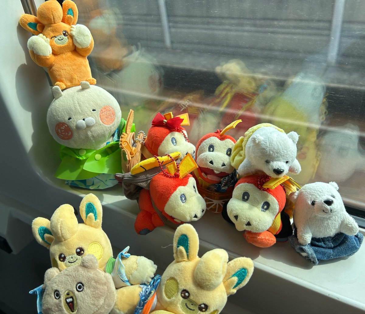 kuidaore_maru's tweet photo. ホゲータ、お出かけするよ⭐️

#ホゲータ　#ホゲータといっしょ　#ホゲ活　#しろくま　#うさまる　#パモ　#パモット https://t.co/2JHNApl4QD