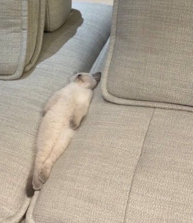 0lakshmishiva0's tweet photo. 저너너💜주말 푹 쉬룜 🛌 https://t.co/7i0eZqz4xC