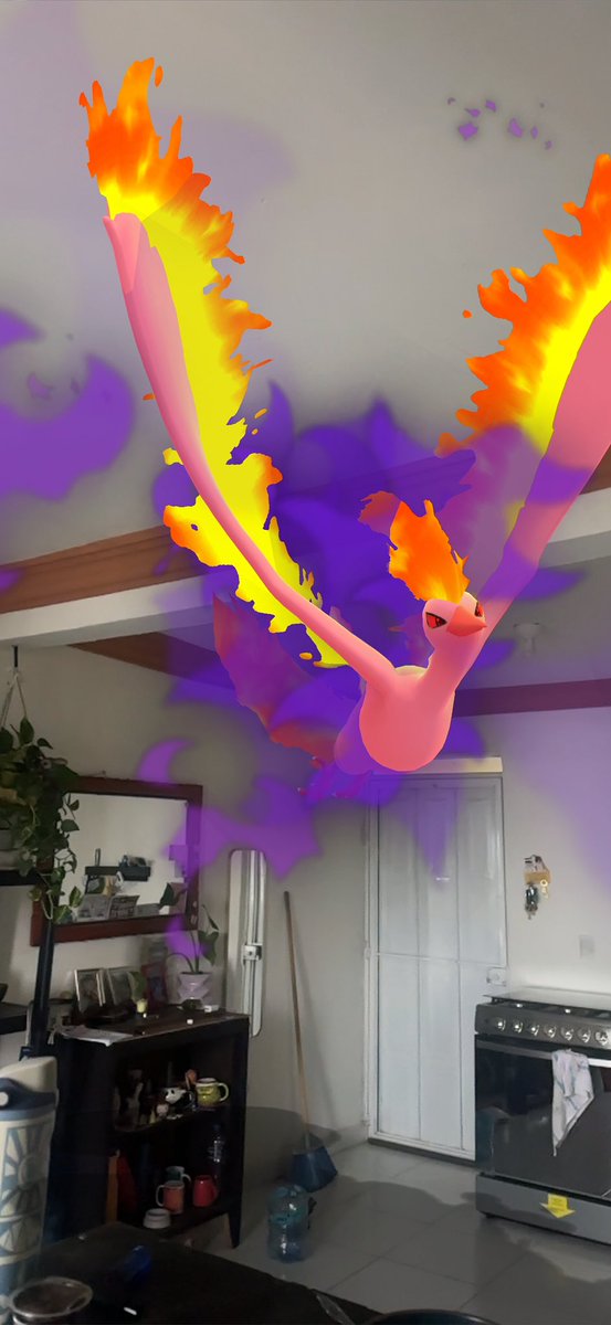 lilbbygi's tweet photo. Ete’ tú no lo tieeeneee

Nonono 🥹 ¿que tal este Moltres? Bellismo 🗣️ https://t.co/2ZZLO6F3lV