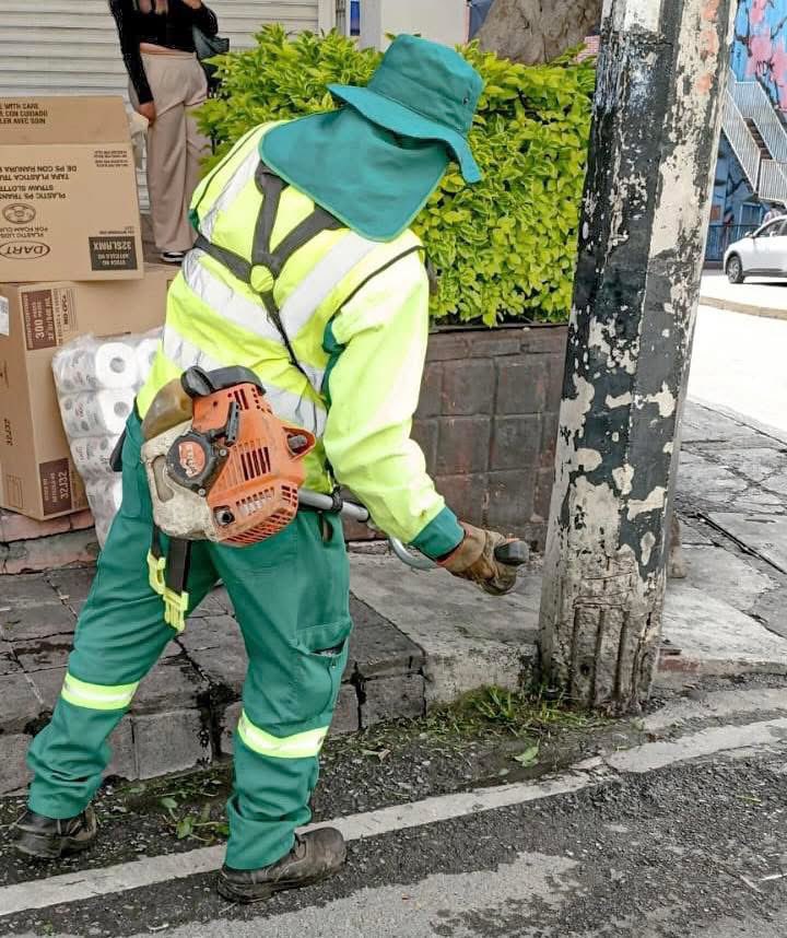 SDSySPCuerna's tweet photo. 🔸 Las Musas, Teopanzolco
🔸 Bajada Chulavista, Chulavista
🔸 Calle Guerrero
🔸 Avenida Domingo Diez https://t.co/ov8xCV6IuC