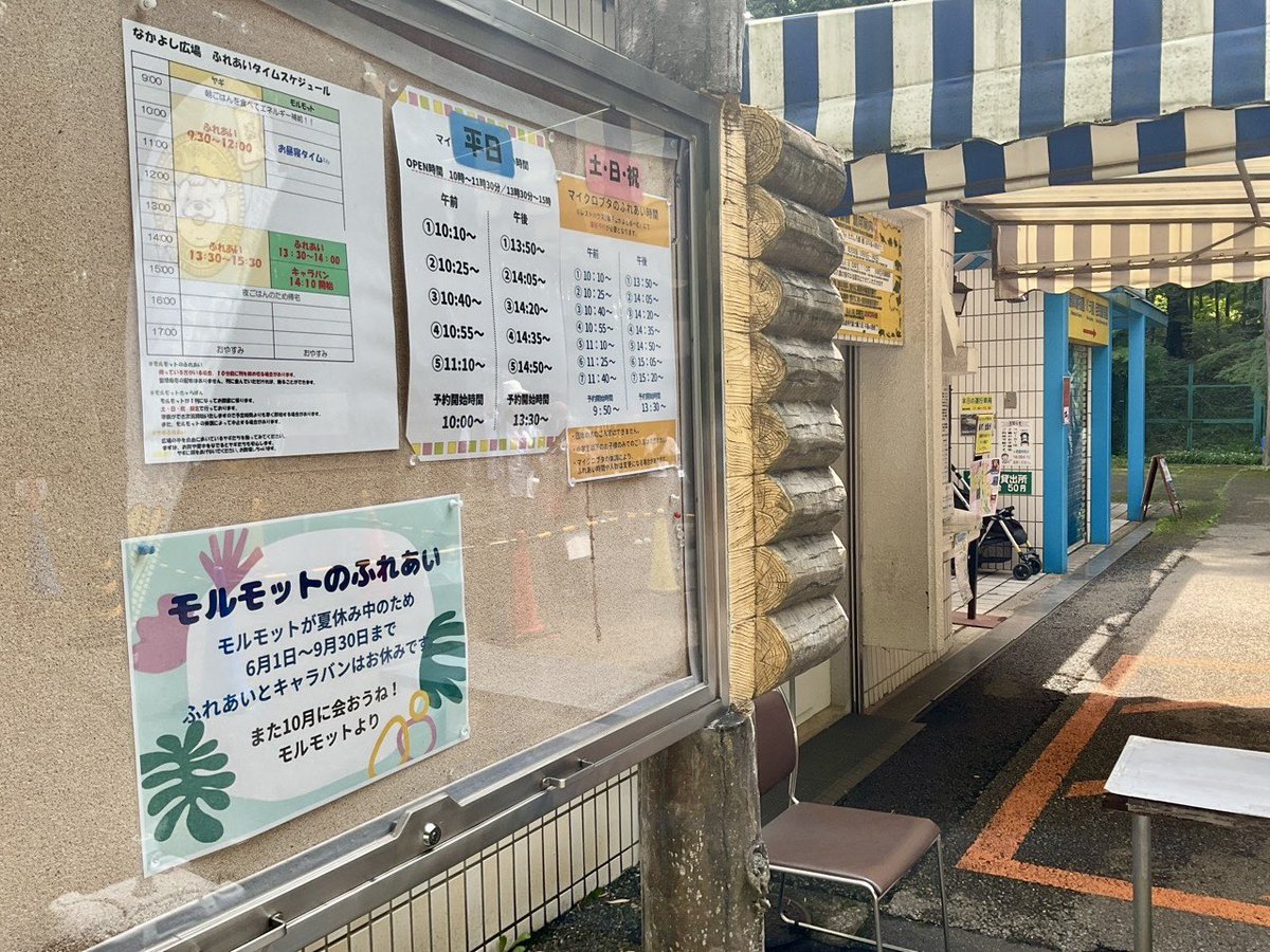 ichikawa_zoo's tweet photo. 6/13(土)9:00
おはようございます。中の人です。
梅雨ですが土日は天気も良さそうですね。
昨日は午後に突然の雷雨で驚きましたけど。

入園前にゲート脇掲示板も是非ご覧ください。
今日も9:30から開園です！

#市川市動植物園 https://t.co/5OaRrEdMVp