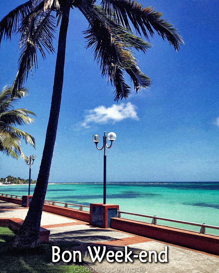 Guadeloupe_Pic tweet picture