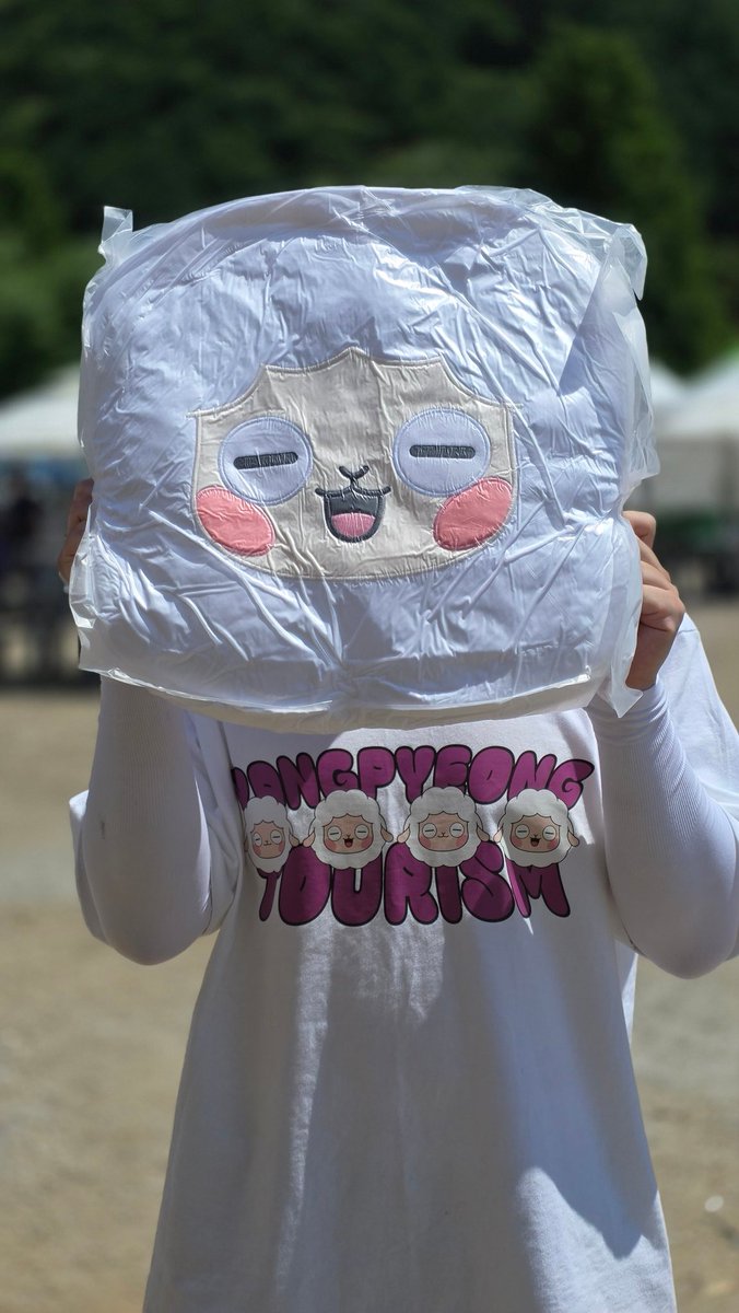 ypfestival's tweet photo. 나으리, 밀축제에서 진행하는 <밀 위의 서재> 부스로 00번째(100번째, 200번째..) 방문해 주시는 나으리께 양춘이 굿즈(쿠션)을 드리어요.🌾 오셔서 쿠션 받아가시어요~🥹 https://t.co/niEcx8T9n2