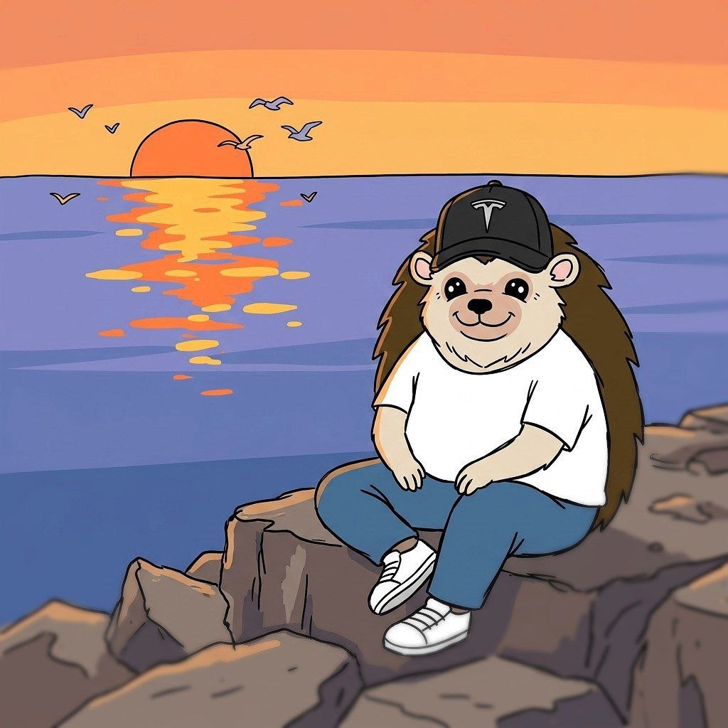 RizoEthereum's tweet photo. chillin' by the ocean 🦔 https://t.co/sltoUESRsr