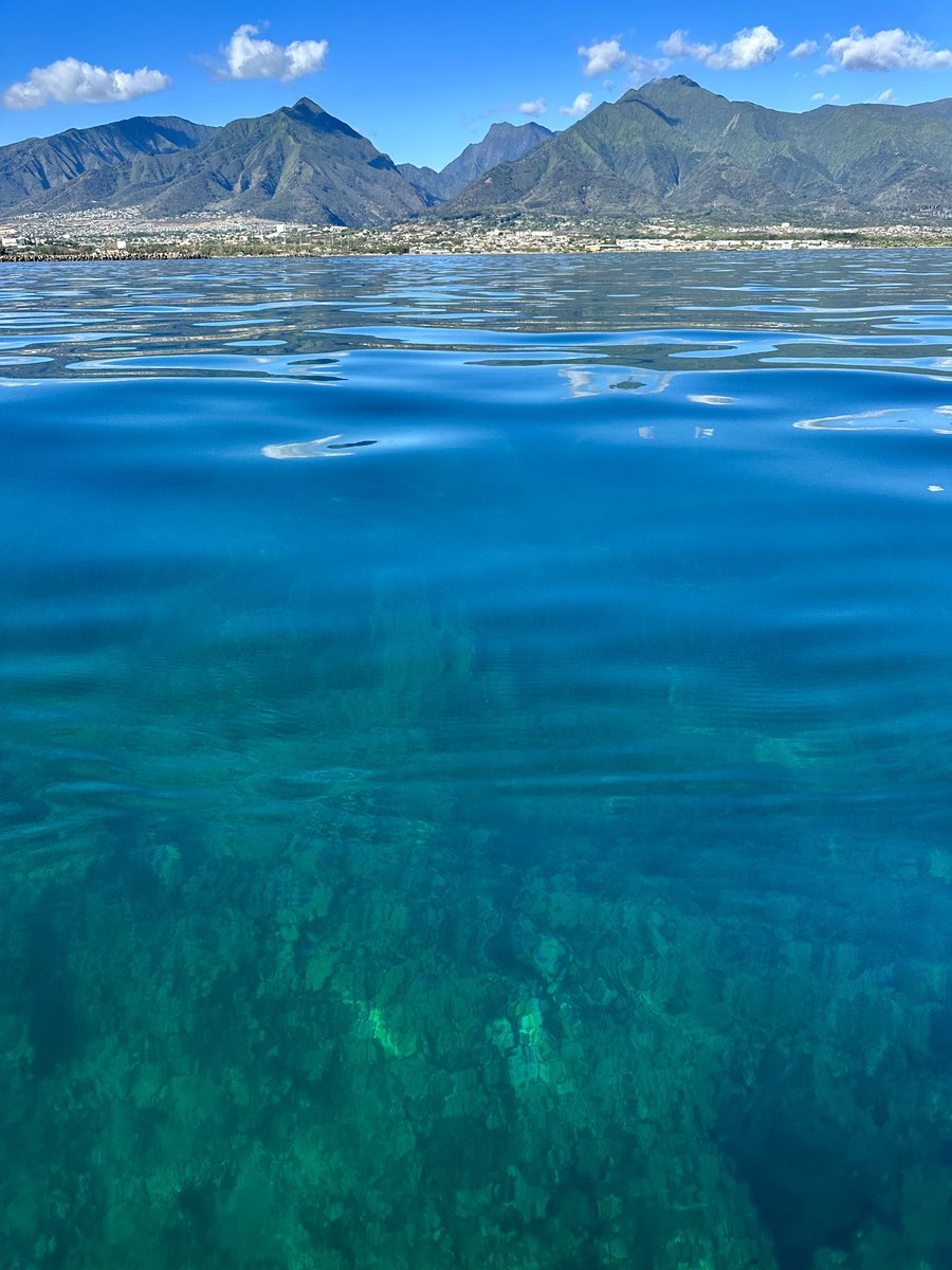 mk8oh8🌺📷🌊🦅 tweet media