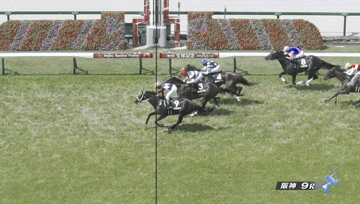 junk_life's tweet photo. 阪神競馬場,9R,三田特別,芝,2200m, 3歳以上 2勝クラス (混合)(特指),結果を確認。ハズレ

●購入した馬券 (合計 ¥1,200-)
　3連複(ボックス) (1-3-5-9)

●結果 
　9-3-4 https://t.co/8AfHHejbn5