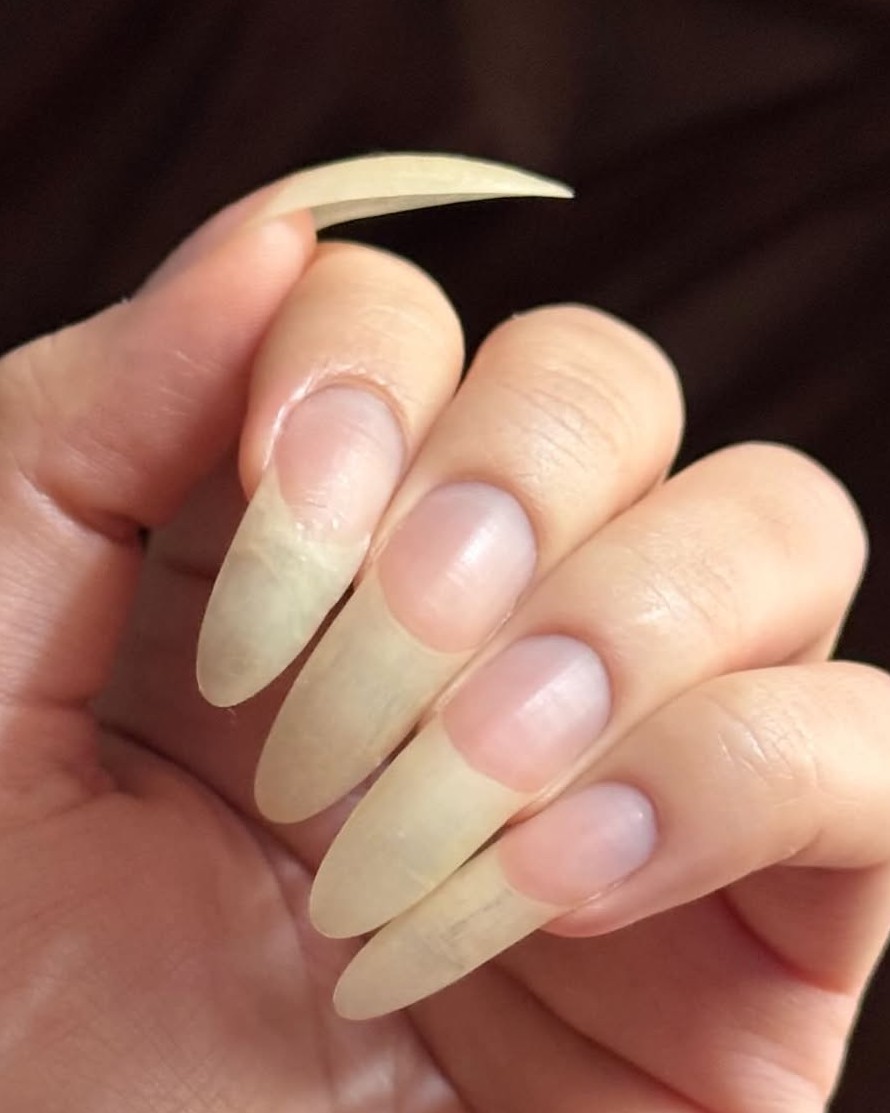 longnailspage's tweet photo. https://t.co/Wf1j5OqFk7 throwback rounded shape nails
#longnails #naturalnails #roundnails #perfectnails #realnails https://t.co/MYX5NK6EjT