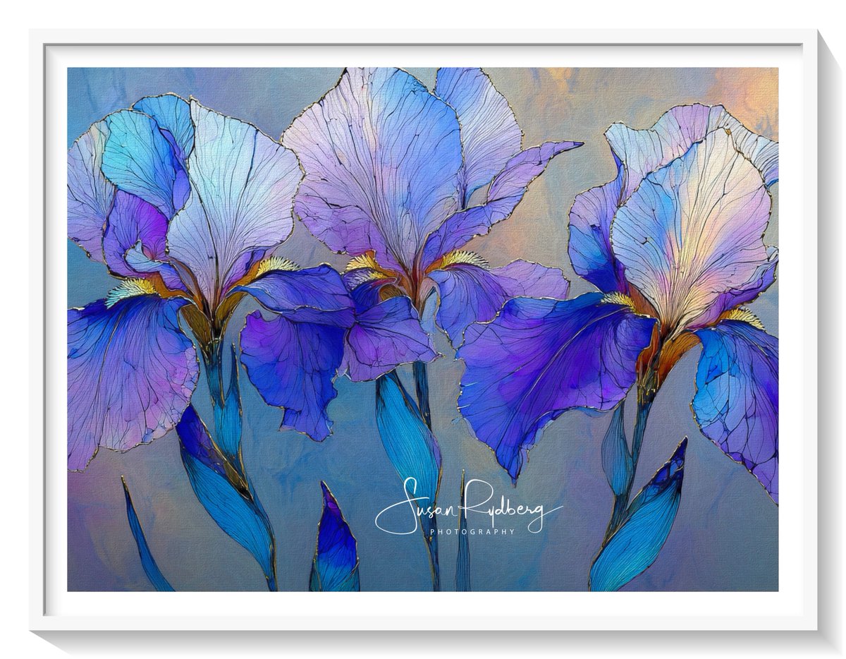 SusanRydberg's tweet photo. Blue Velvet Irises #IrisFlowers #BotanicalArt #FloralArt #WatercolorFlowers #FloralWallArt #FlowerArtwork #NatureInspiredArt https://t.co/hD9BJLy0Y1