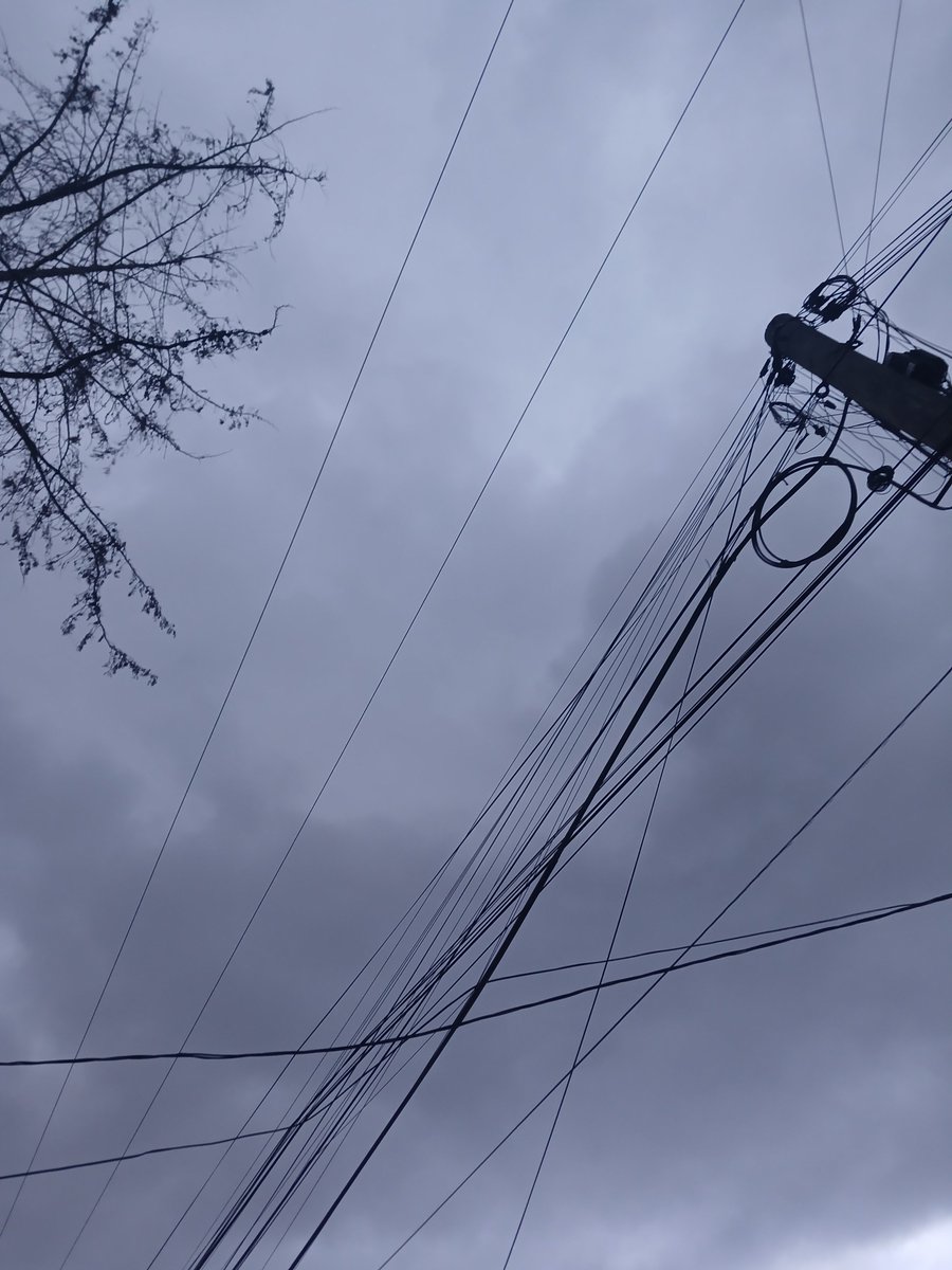 MANUGONZA's tweet photo. Culpo a  @mauriciotabe  a la @delgacionmigue1 @MHPrevencion por no actuar en replantar o quitar este  arbol que esta apunto de caer en la calle de Sierra Vertientes 420 en las Lomas de Chapultepec sobre unas casas automoviles s y cables de luz y de telefonia. @Reforma https://t.co/xywkxGCkGR