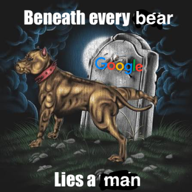 Bearman3600 (@Bearman3600) / Posts / X
