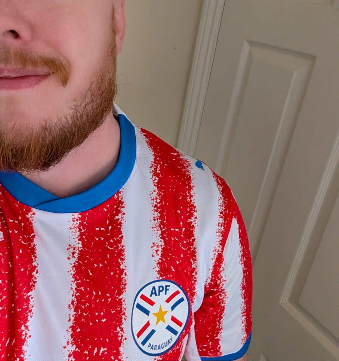 IrishPangolin's tweet photo. Cheering on Sunderlands Omar Alderete and Paraguay in this #WorldCup https://t.co/hkzfQkmtEn