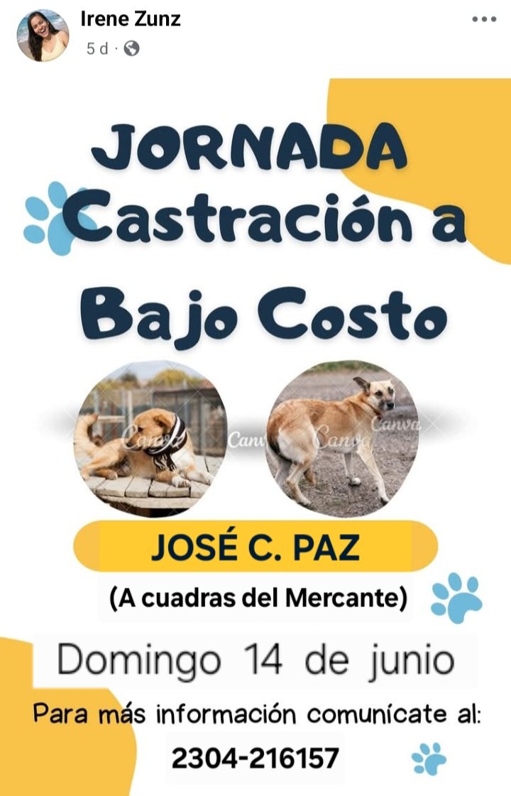 protegealanimal's tweet photo. JOSÉ C. PAZ
#JOSÉCPAZ #JCP #BARRIOLABASE #BARRIOPIÑERO #BARRIOLAMAS #BARRIOSOLYVERDE #SOLYVERDE #BARRIOPROVIDENCIA #LAMAS #BARRIOSANATILIO #SANATILIO #BARRIOALTUBE #ALTUBE #ALBERDI #MERCANTE #ZONANOROESTE #GRANBSAS #BSAS #BUENOSAIRES #CONURBANO https://t.co/D9Sn0pldl0