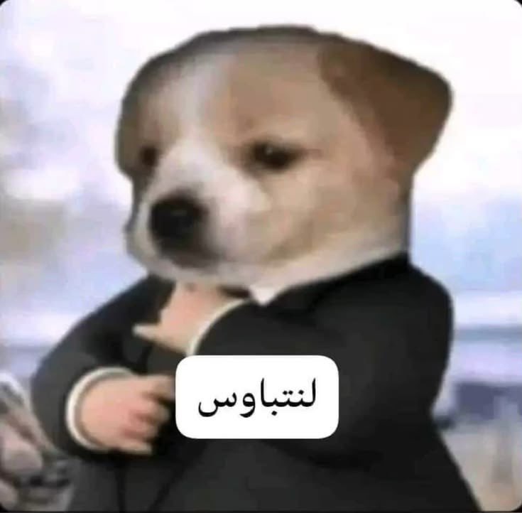 🦢. tweet media