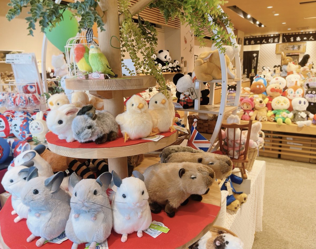 ystk_official's tweet photo. 【浅草橋本店】

昨今の諸経費高騰に伴い、誠に恐縮ながら7月1日より一部ぬいぐるみ商品の価格を改定させていただきます

その前に…浅草橋本店で決算セールを行います📢

🧸ぬいぐるみ商品10%OFF(一部商品対象外)
🧸期間:6月30日迄

ご検討中の商品がある方は是非お早めにお求めくださいませ🙇 https://t.co/jovfJZEh73