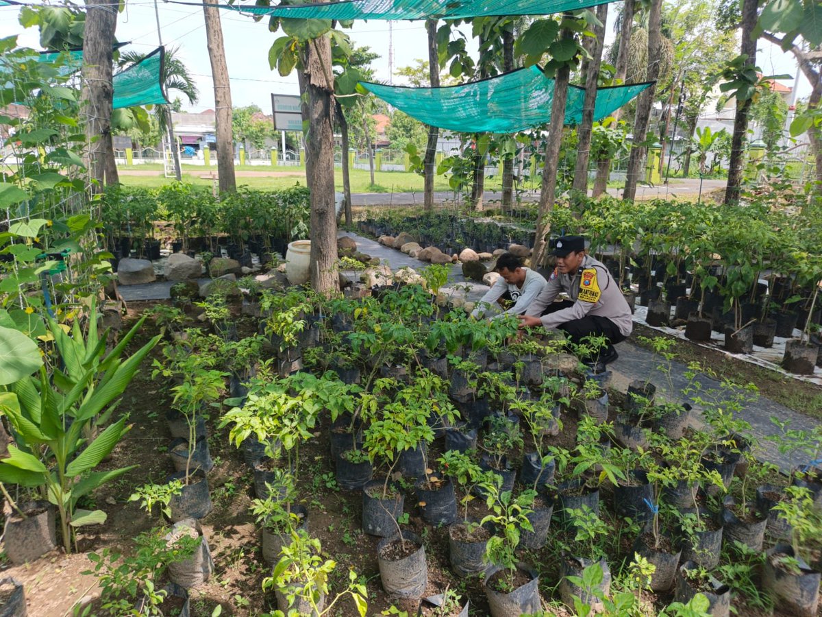 Hoyik5's tweet photo. Menyatu dengan aktivitas warga sebagai bentuk dukungan terhadap program ketahanan pangan
#ketahananpangan
#swasembadapangan
#astacita
#ketahananpanganpolresmadiun
#KabupatenMadiun
#PolresMadiun
#JawaTimur https://t.co/K9RTOvgI8i