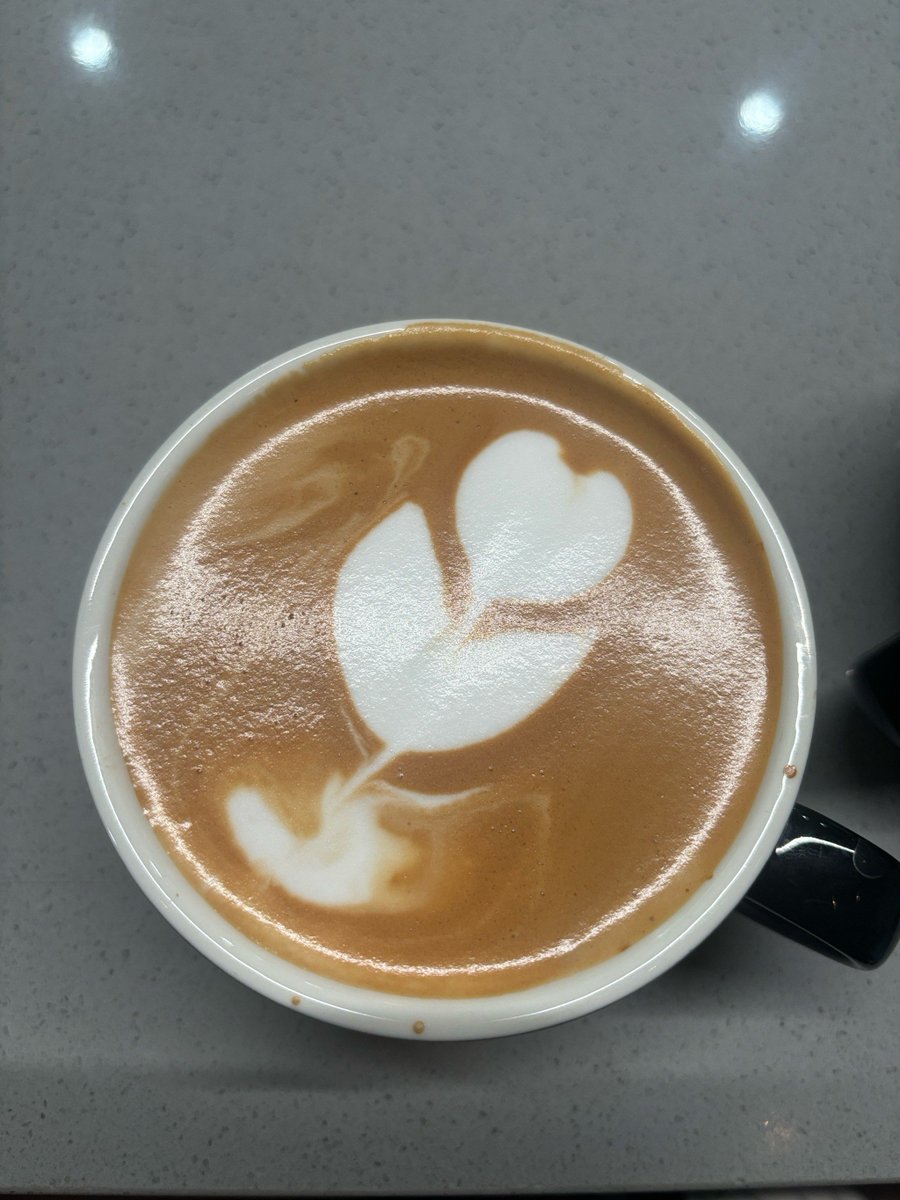 lup_teodor's tweet photo. Just grabbing a warm latte and flipping through my favorite novel—this quiet Sunday moment hits different. ， https://t.co/sof0pH2yVK