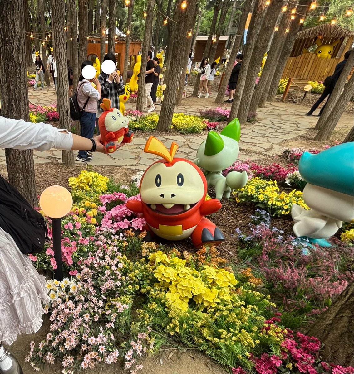 eemba24's tweet photo. 아기 호게타랑 왕 호게타 https://t.co/F5ShwuG8GI