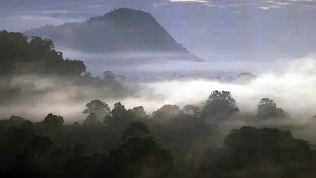 lunadiana0's tweet photo. No olvidemos al bosque de niebla colombiano, que produce mucha más agua que los paramos (también importantes) y que se están reduciendo de una manera alarmante. https://t.co/jUIpFt8vxP
