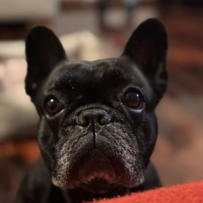 alexishurtado's tweet photo. #NuevaFotoDePerfil https://t.co/OlrV2JjBh7