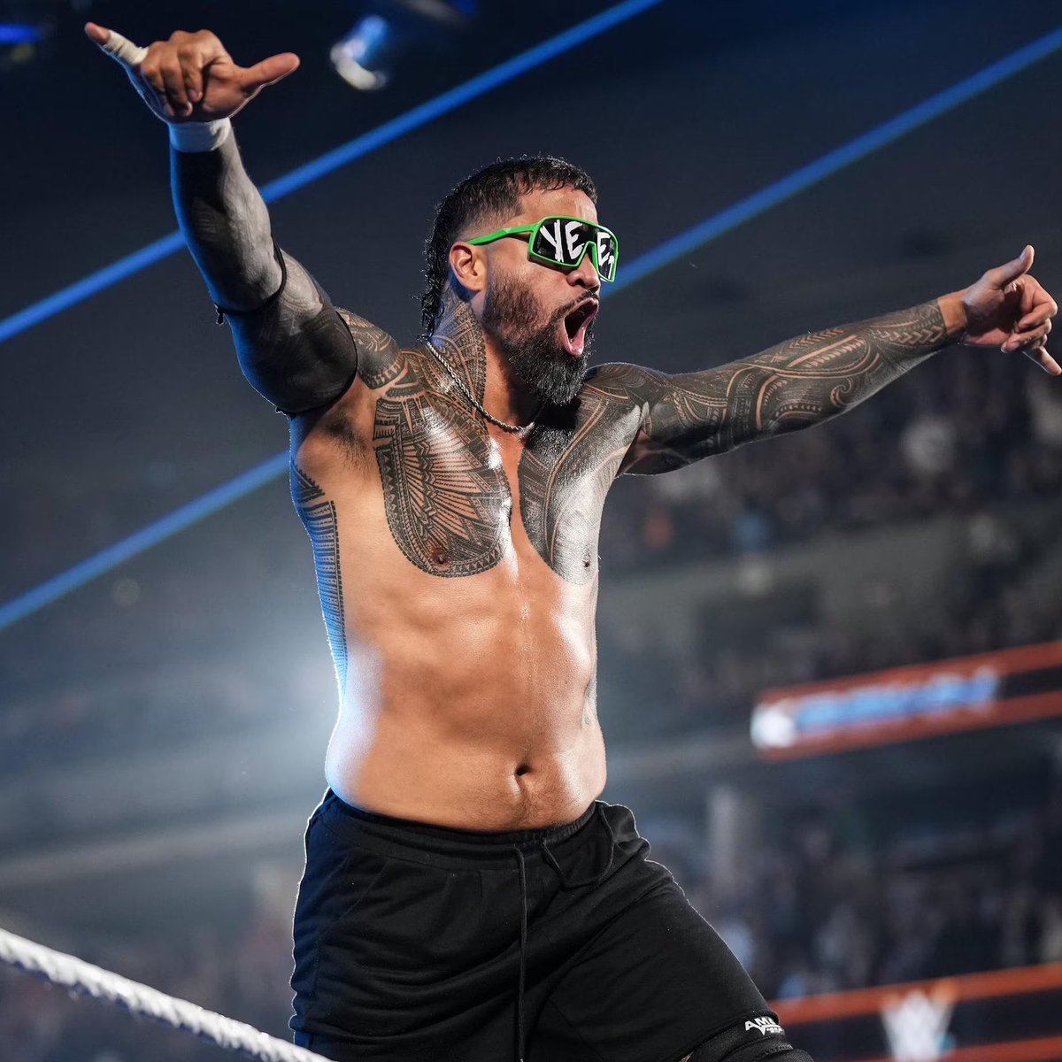 WrestlePurists tweet media