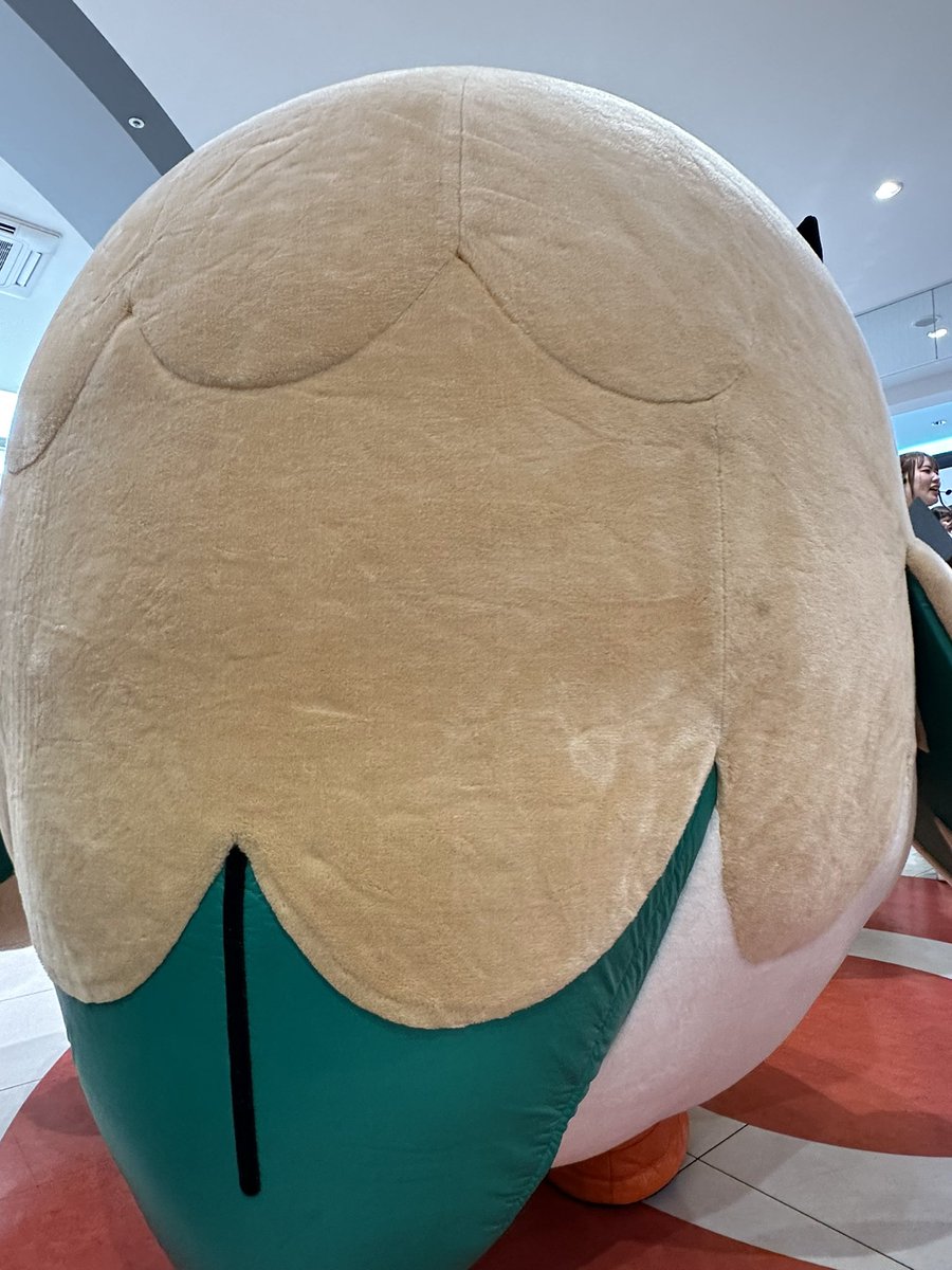 d_aomine39's tweet photo. #キミにあえた
#モクローにあえた
#入退場は横向き https://t.co/YCRSwTTi5m