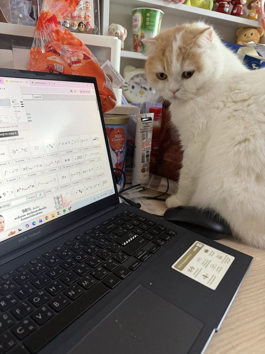 Lalalaaoey🐈🌈 tweet media