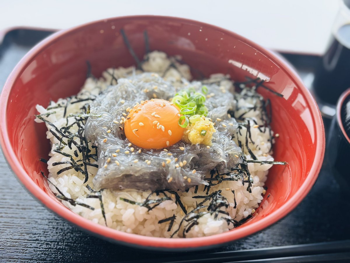 yasuo_3rd's tweet photo. 月見生しらす丼🤤
富士来た人みんなに勧めてるやつ😆 https://t.co/m8Y2z6Lujk