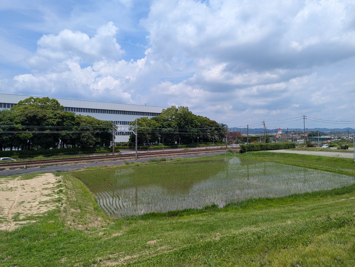 zopfvazb's tweet photo. 潰れたかと思ってたけど潰れてなかった🙆‍♂️ https://t.co/Rgu3AOAV2d